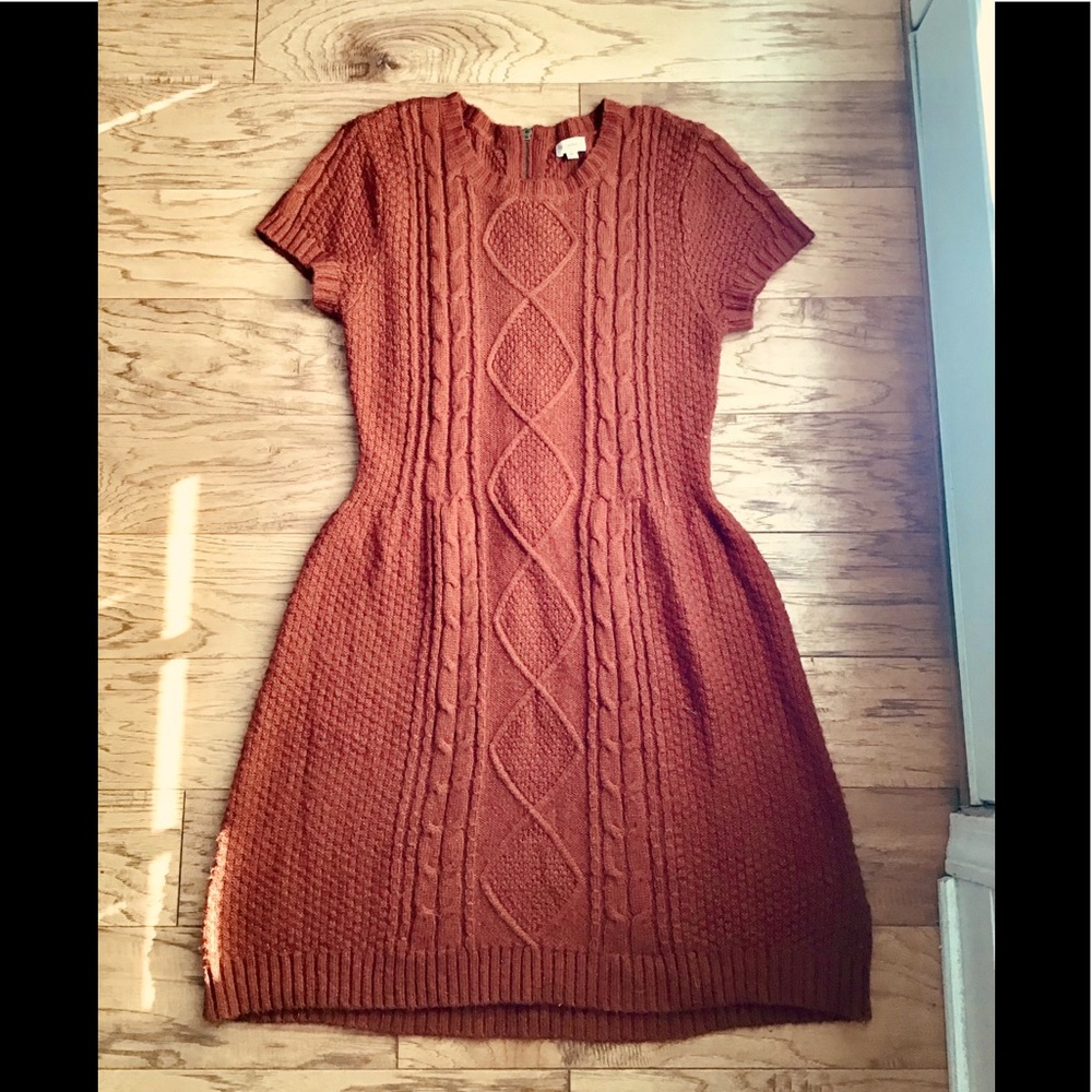 Cremieux Rust Sweater Dress